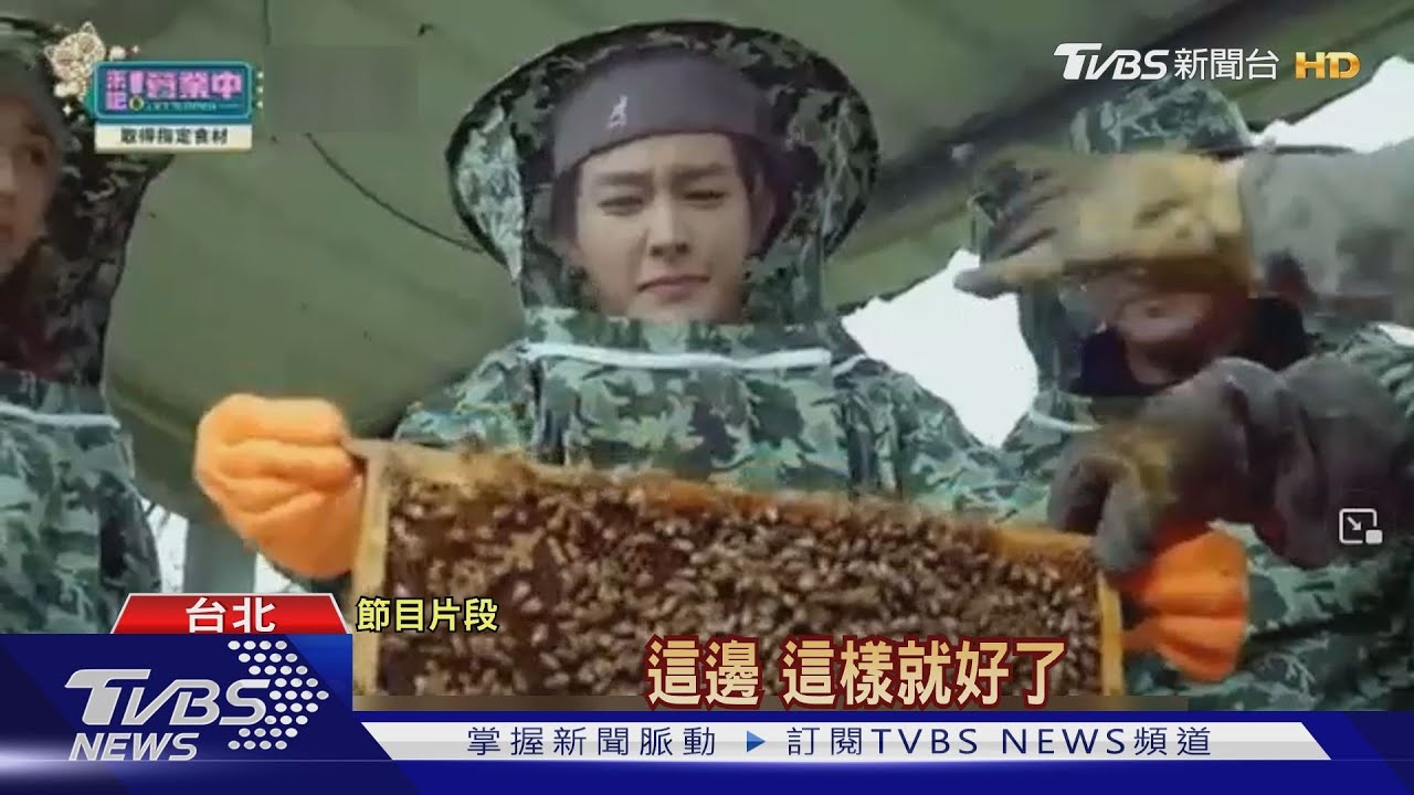 《來吧!營業中》蒐集食材遭蜜蜂圍繞 炎亞綸崩潰狂尖叫