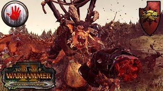INSANE GAME - Greenskins (Soothsayer) vs. Chaos (Aerocrastic) - Total War Warhammer 2 Gameplay