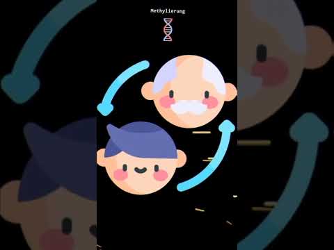 Methylierung - Biologisches Alter Reduzieren mit Ernährung!