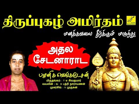 அதலசேடனாராட || ATHALASEDANARADA || THIRUPPUGAZH || G VENKATESAN || VIJAY MUSICALS