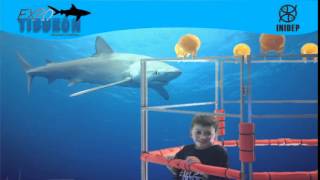 DIA 3 Expo Tiburon30