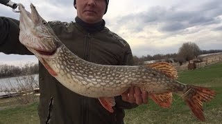 Рыболовная база в астраханской области камызякский район