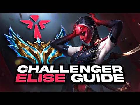 Challenger Elise Support Guide in Under 5 Minutes