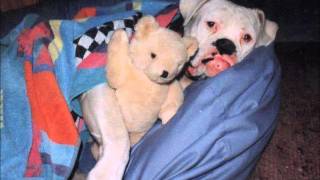 R. Stevie Moore-  You Don't Have to Worry About Me