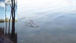 MARK KNOPFLER &amp; EMMYLOU HARRIS, twofold, LOST ON THE RIVER