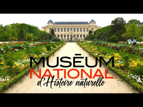 MUSÉUM NATIONAL D'HISTOIRE NATURELLE / FRANÇOIS À PARIS 24