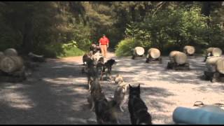 preview picture of video 'Seward: Ididaride Wilderness Sled Dog Ride and Tour - Holland America Line'