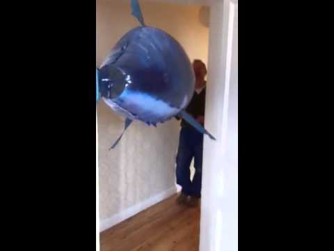 Den Gamle Mand og Hajen