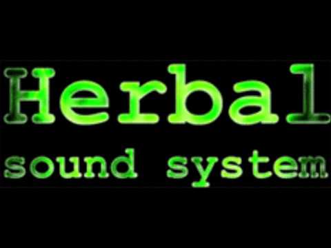 Carinho H & ST (Herbal Sound) - M 600 AM