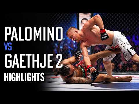 Justin Gaethje vs Luis Palomino 2 Highlights | Part 2 Was Even MORE Brutal & Violent!
