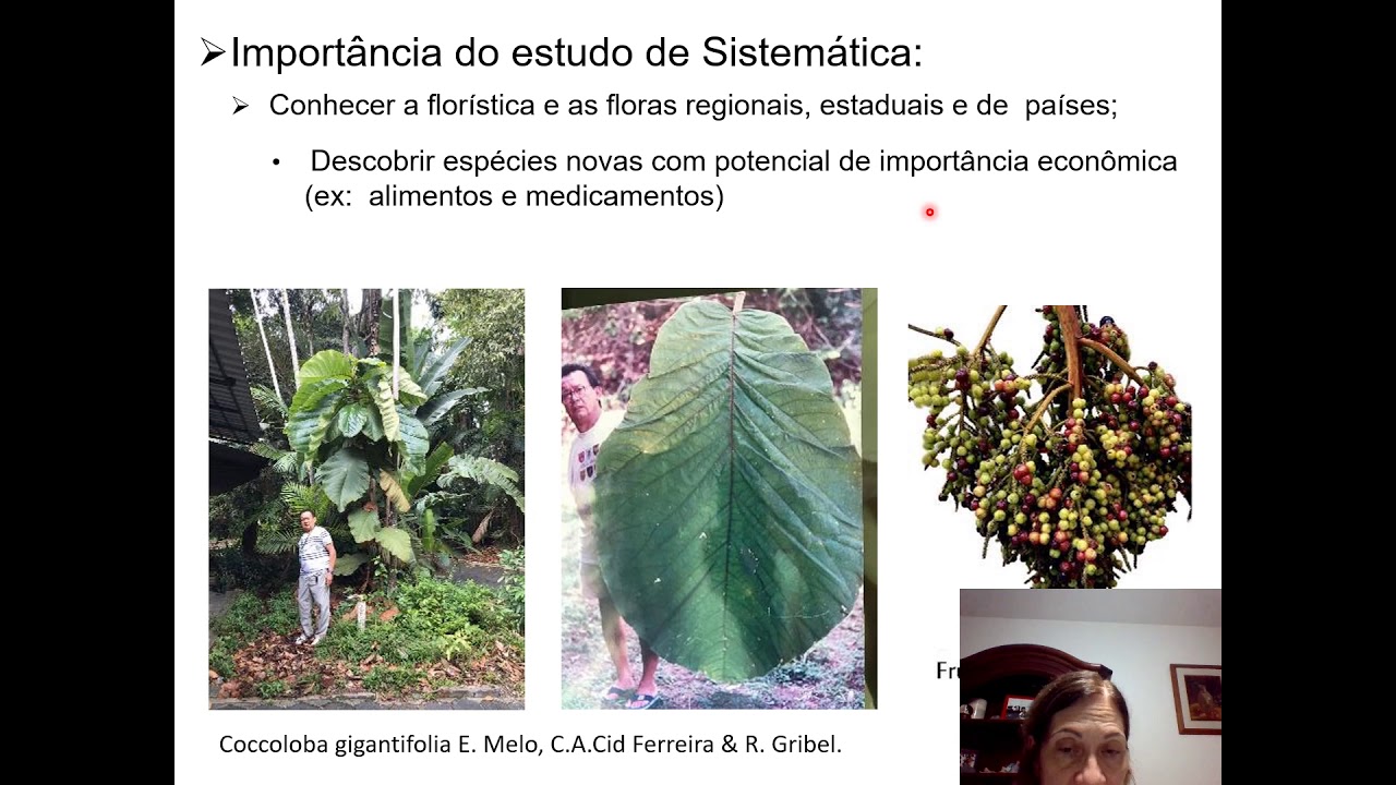 Aula 1- Sistemática Vegetal: Conceitos, Importância e Herbário