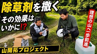 【山開拓】雑草だらけの山…除草剤でどこまで変わる？