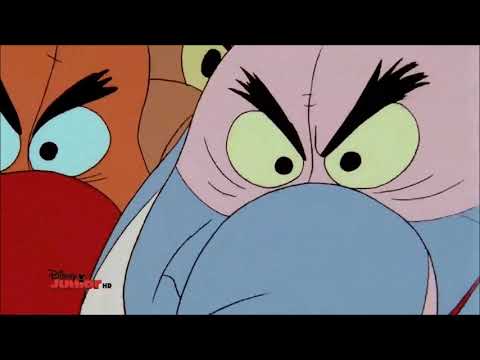 The New Adventures of Garfield the Cat Intro