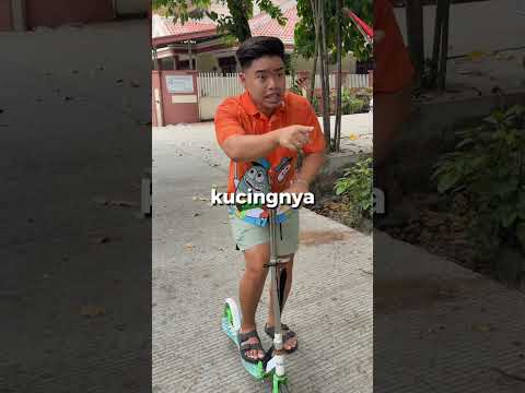 untung kucingnya selamat