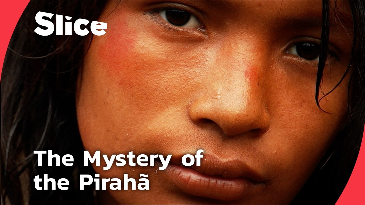 Inside the Pirahã World: Deciphering the Amazon’s Most Enigmatic Language | SLICE | FULL DOCUMENTARY