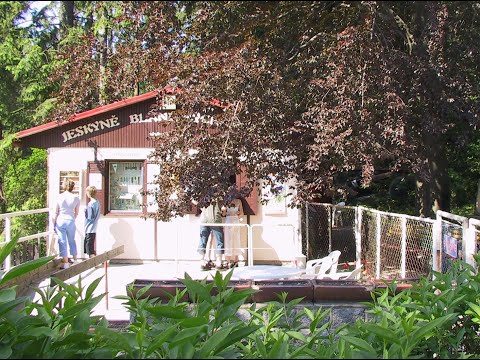 Kunštát - zámek, rozhledna, jeskyně, zahrada 25. 5. 2003 (VHS)