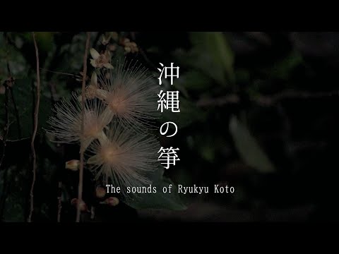 武道学科 【琴BGM】寝る時に聴きたい沖縄の箏｜作業用 playlist｜koto