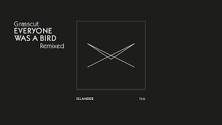 Grasscut — Islander — Fink Remix