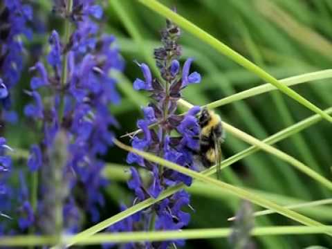 ANAGNI villa mq 550 su 3 livelli