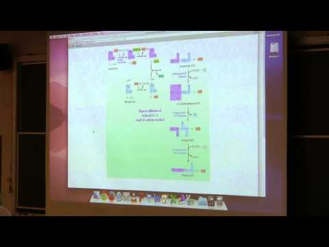Ahern's BB 350 at OSU - 32. Fatty Acid and Lipid Metabolism