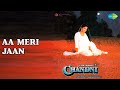 Aa Meri Jaan Chandni Lata Mangeshkar Songs Rishi Kapoor Sridevi