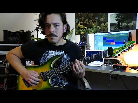WOUND COLLECTOR - Seduced Into Depravity (Guitar playthrough)