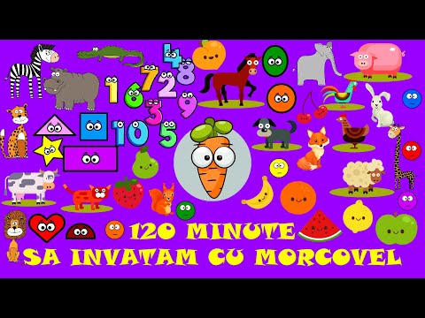 120 Minute Sa Invatam Cu Morcovel (Alfabetul, Numerele, Culorile, Fructele, Animalele, Zilele...)
