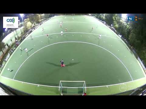 Silvercup H1 - Kikkers H1