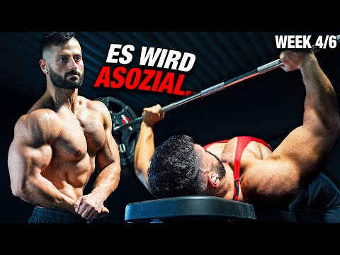 Mein Brust, Schulter & Trizeps Training wird langsam asozial…