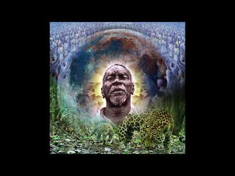 61   A Rainha da Floresta