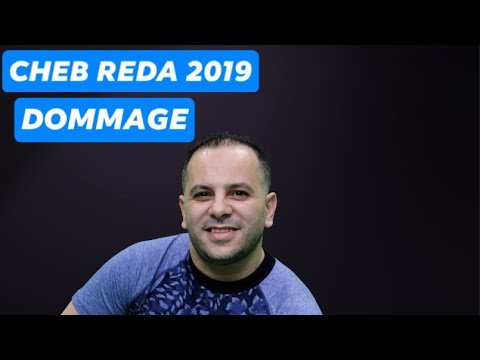 CHEB RÉDA - DOMMAGE | الشاب رضا - دوماج[ OFFICIAL LYRICS VIDÉO] ©️ 2019