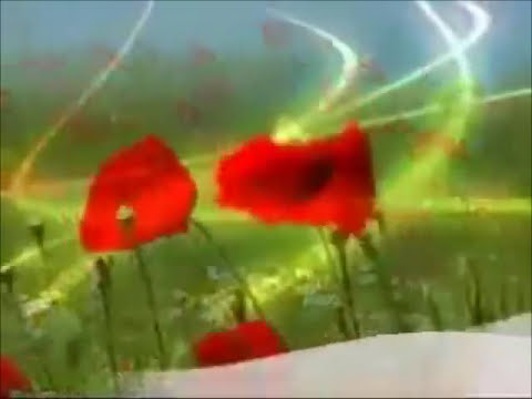 Duna TV - Nyári arculat 2009