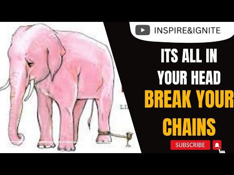 Breaking Chains: The Elephant Rope Story