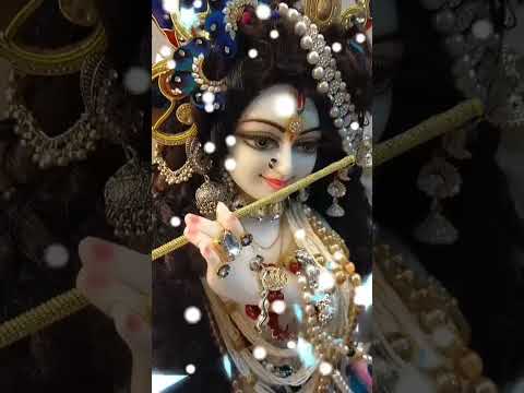 #shortvideos #feelings #viralvideos #shayari #flowers #views_viral_video_subscribers_grow #Rutul