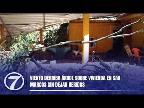Viento derriba árbol sobre vivienda en San Marcos sin dejar heridos