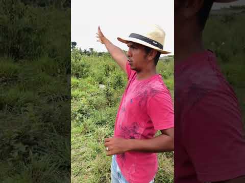 Seu Miguel bravo com o poka sombra #viral #comedia #humor #meme 