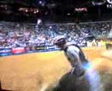 Wiley Petersen vs. Bells Blue (2 starcie)