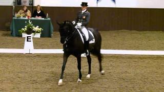 Video di Painted Black