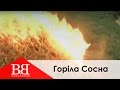 Вопли Видоплясова - Горела Сосна (ВВ - Воплі Відоплясова, Горіла Сосна ...