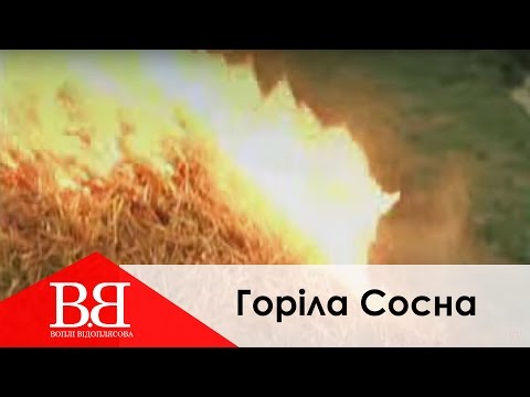Воплі Відоплясова - Горіла Сосна