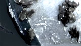 what&#39;s he building in there?  - Tom Waits