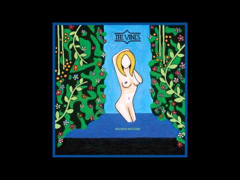 Reincarnation video