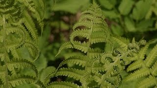 Kathedralen der Zukunft (Land Salzburg)