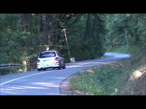 Marko Matic - Brdska trka Sopot 2024 - Peugeot 206 1.6 SL