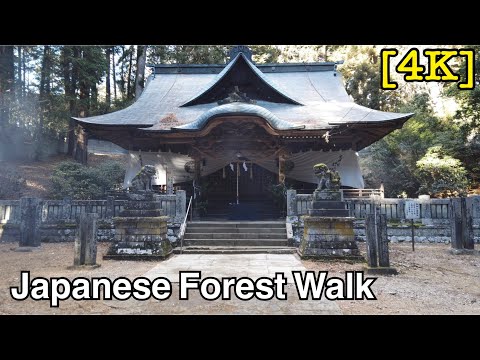 [4K] (Relaxing)Forest walk in rural Japan with Shinto shrines