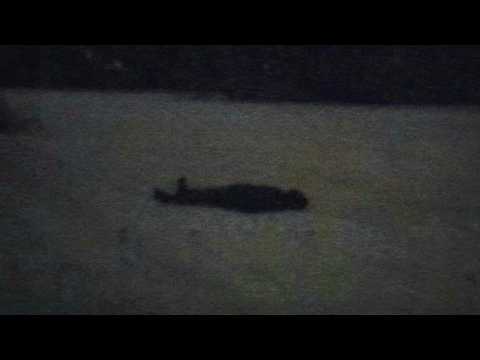 Horrors of Antarctica