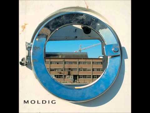 Moldig - New World