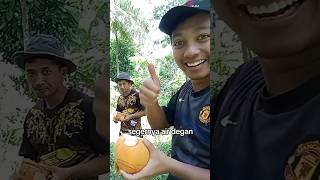 Download lagu mbencah degan di pedesaan #gendingjawaklasik #suasanadesa mp3 Download lagu mbencah degan di pedesaan #gendingjawaklasik #suasanadesa mp3