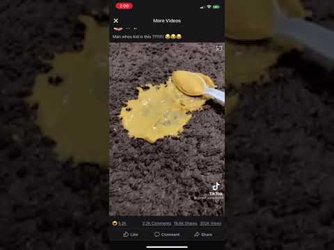 Pudding carpet clean tik tok