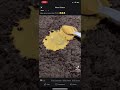 Pudding Carpet Clean Tik Tok